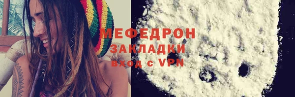 spice Богородицк